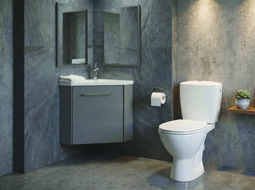 Pack WC standard double commande ROLF BY AYOR 5053 - vue 2