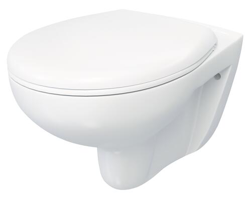 Cuvette suspendue sans bride 